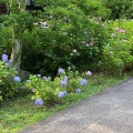 実際訪問したユーザーが直接撮影して投稿した東瓦町寺総本山智積院の写真