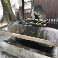 実際訪問したユーザーが直接撮影して投稿した岸町神社調神社の写真