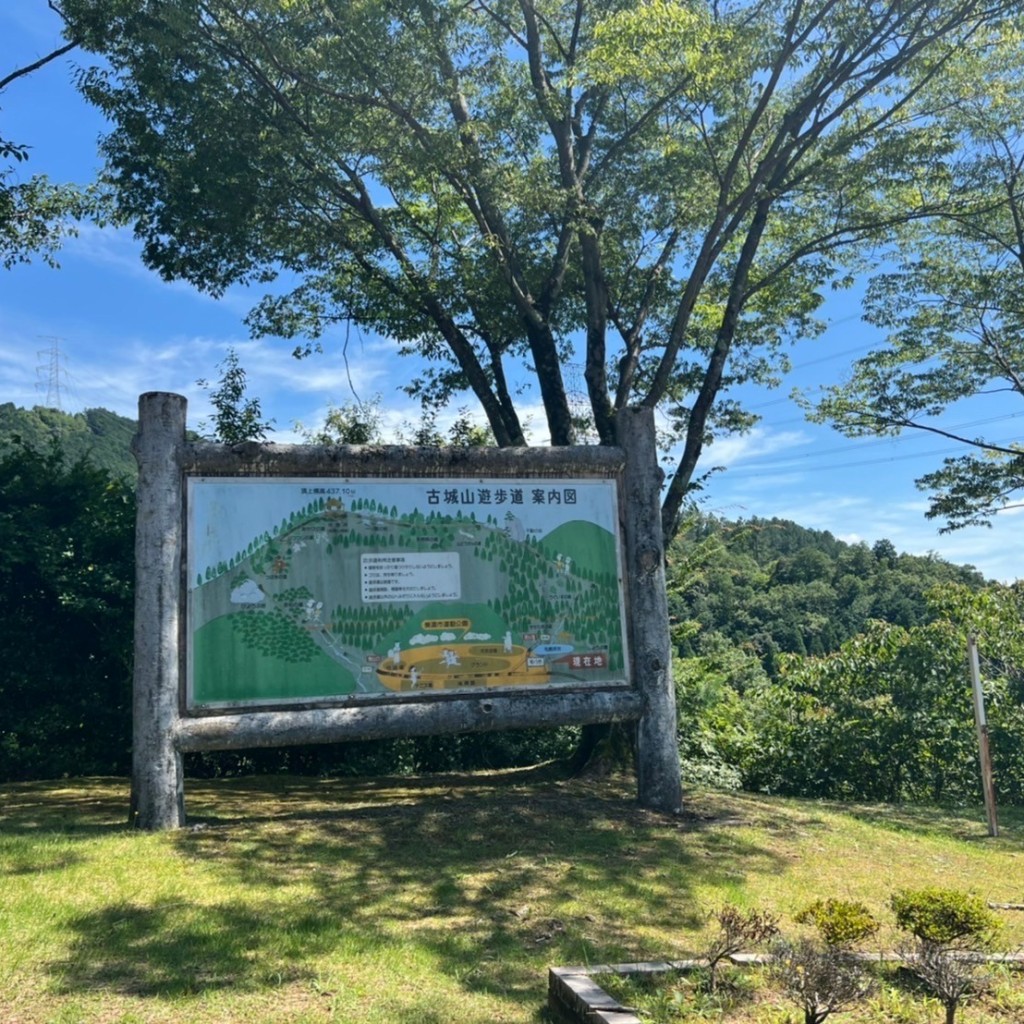 実際訪問したユーザーが直接撮影して投稿した山 / 峠古城山の写真