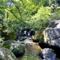 実際訪問したユーザーが直接撮影して投稿した岩屋町公園岩屋堂公園の写真