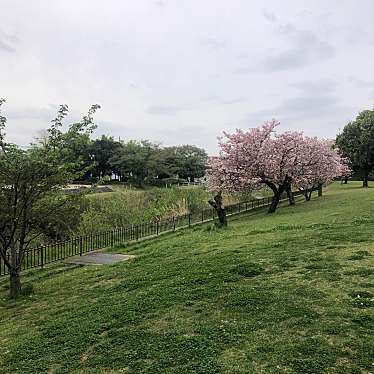 実際訪問したユーザーが直接撮影して投稿した東野町公園落合公園の写真