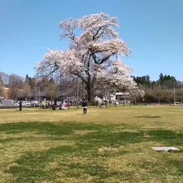 tabimaruさんが投稿した米沢道の駅のお店道の駅 安達 智恵子の里 下り線/ミチノエキ アダチ チエコノサト クダリセンの写真