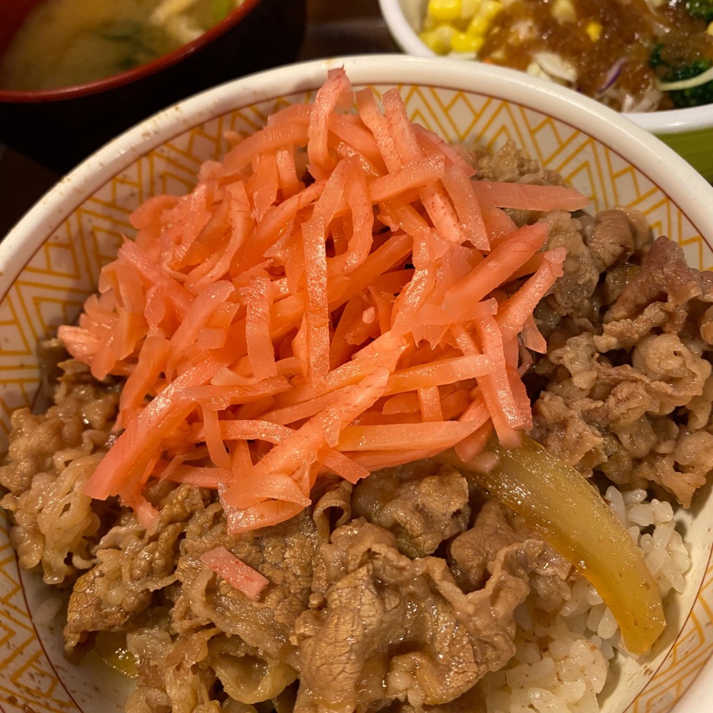 ユーザーが投稿した牛丼ランチセットの写真 - 実際訪問したユーザーが直接撮影して投稿した仲町牛丼すき家 浦和仲町店の写真