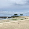 実際訪問したユーザーが直接撮影して投稿した石川海水浴場 / 海浜エメラルドビーチの写真