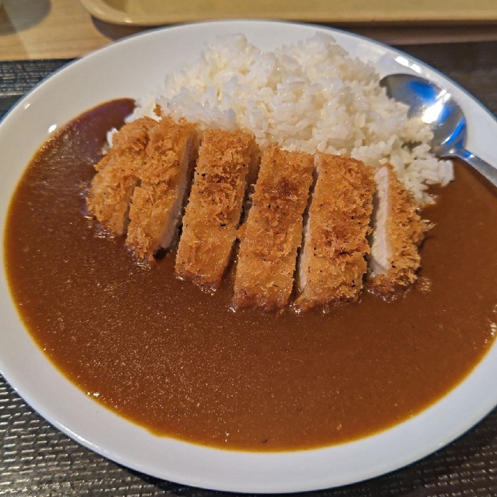 ユーザーが投稿したカツカレーの写真 - 実際訪問したユーザーが直接撮影して投稿した公園通り西とんかつ豚屋とん一 パークプレイス大分店の写真