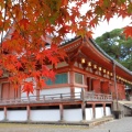 実際訪問したユーザーが直接撮影して投稿した醍醐東大路町寺醍醐寺の写真