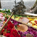 実際訪問したユーザーが直接撮影して投稿した穂高神社穂高神社の写真