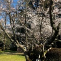 実際訪問したユーザーが直接撮影して投稿した滝の宮町公園滝の宮公園の写真