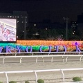 実際訪問したユーザーが直接撮影して投稿した勝島競馬場東京シティ競馬の写真