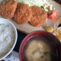 ランチヒレカツ定食 - 実際訪問したユーザーが直接撮影して投稿した志波町とんかつとんかつ杉の写真のメニュー情報