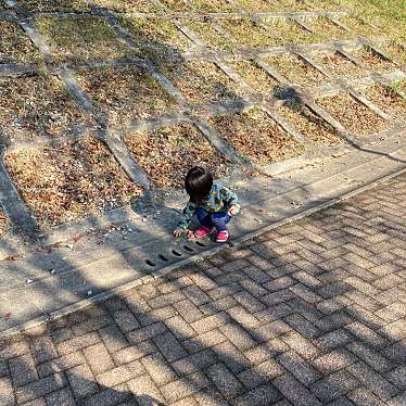 実際訪問したユーザーが直接撮影して投稿した軽里公園峰塚公園の写真