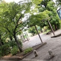 実際訪問したユーザーが直接撮影して投稿した白鷺公園鷺宮運動広場の写真