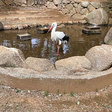 市川市動植物園のundefinedに実際訪問訪問したユーザーunknownさんが新しく投稿した新着口コミの写真