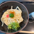 生醤油おろしうどん - 実際訪問したユーザーが直接撮影して投稿した羽田空港うどん讃岐うどん般若林の写真のメニュー情報