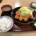 ひれ一口カツ定食+大根おろし - 実際訪問したユーザーが直接撮影して投稿した保とんかついけだ食堂の写真のメニュー情報