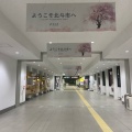 実際訪問したユーザーが直接撮影して投稿した市渡駅（代表）新函館北斗駅の写真