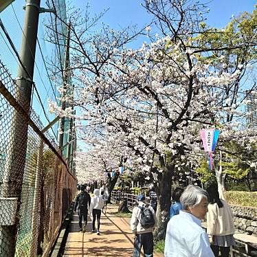 川崎市 中原平和公園のundefinedに実際訪問訪問したユーザーunknownさんが新しく投稿した新着口コミの写真