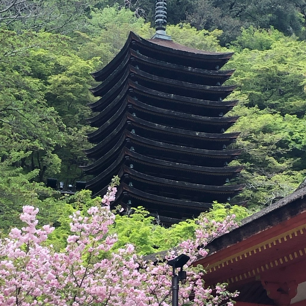 ははみんさんが投稿した多武峰神社のお店談山神社/タンザンジンジャの写真