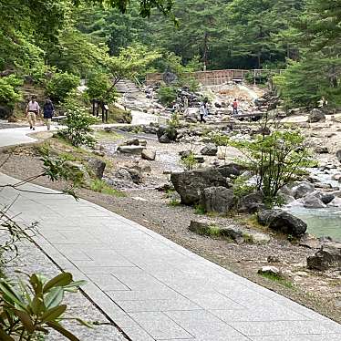 MRピクルスさんが投稿した草津足湯のお店西の河原公園 源泉足湯/ニシノカワラノコウエン ゲンセンアシユの写真