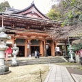 実際訪問したユーザーが直接撮影して投稿した早崎町神社竹生島神社の写真