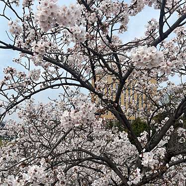 明石公園のundefinedに実際訪問訪問したユーザーunknownさんが新しく投稿した新着口コミの写真