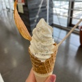 降灰ソフトクリーム - 実際訪問したユーザーが直接撮影して投稿した桜島横山町カフェMINATO CAFEの写真のメニュー情報