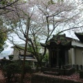 実際訪問したユーザーが直接撮影して投稿した上津町神社天神社の写真