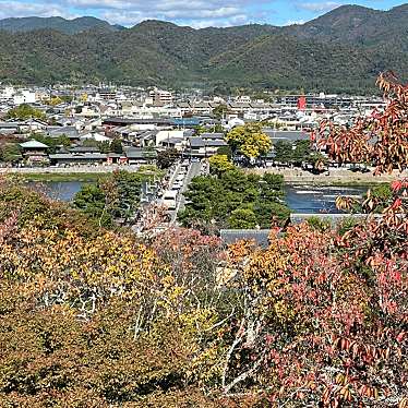 実際訪問したユーザーが直接撮影して投稿した嵐山虚空蔵山町寺法輪寺の写真