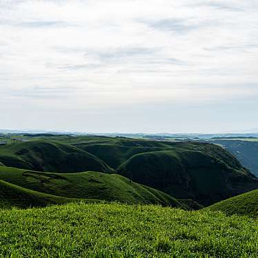 実際訪問したユーザーが直接撮影して投稿した山田山 / 峠大観峰の写真