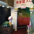 実際訪問したユーザーが直接撮影して投稿した和田浜南町博物館熱海秘宝館の写真