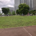 実際訪問したユーザーが直接撮影して投稿したみなとみらい公園高島中央公園の写真