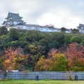 実際訪問したユーザーが直接撮影して投稿した一番丁公園和歌山城公園の写真