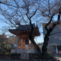 実際訪問したユーザーが直接撮影して投稿した小石川寺傳通院の写真