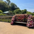 実際訪問したユーザーが直接撮影して投稿した丸之内庭園松山城二之丸史跡庭園の写真