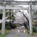 実際訪問したユーザーが直接撮影して投稿した海津町油島神社治水神社の写真