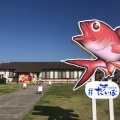 実際訪問したユーザーが直接撮影して投稿した伊戸魚介 / 海鮮料理漁港食堂 だいぼの写真