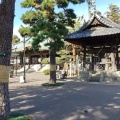 実際訪問したユーザーが直接撮影して投稿した堀ノ内寺妙法寺の写真