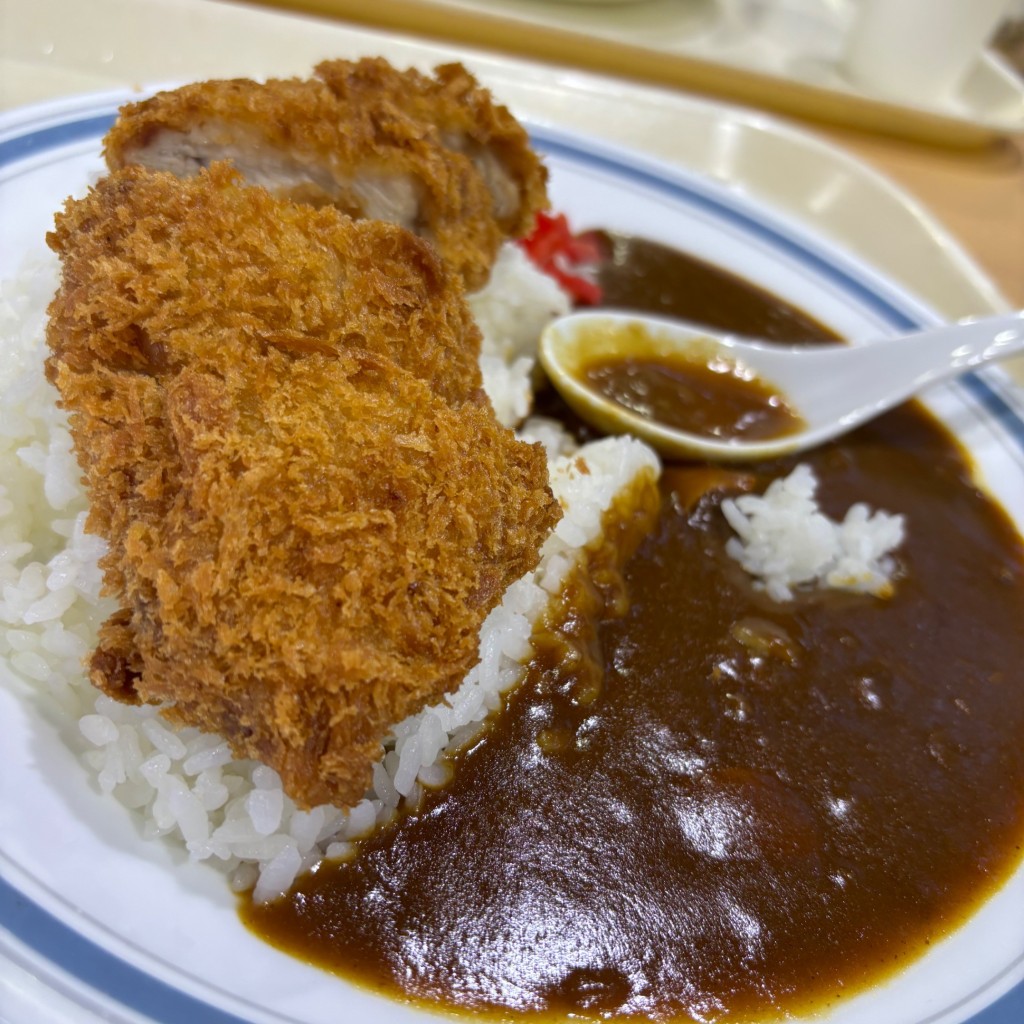 ユーザーが投稿したロースカツカレーの写真 - 実際訪問したユーザーが直接撮影して投稿した定食屋ティンバーラインの写真