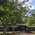 実際訪問したユーザーが直接撮影して投稿した嵯峨大沢町寺大覚寺の写真