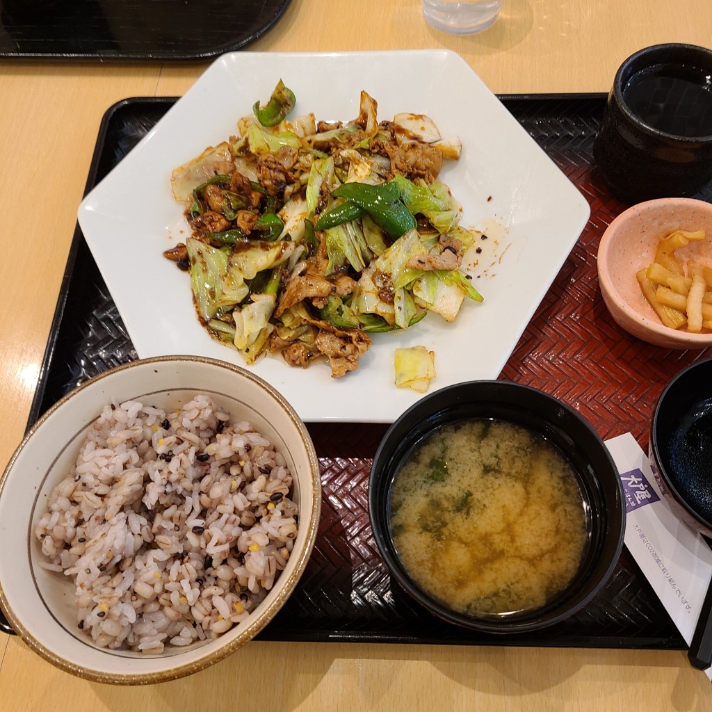 ユーザーが投稿した[定食]豚と野菜の豆鼓味噌炒めの写真 - 実際訪問したユーザーが直接撮影して投稿したインターパーク定食屋大戸屋 FKD宇都宮インターパーク店の写真