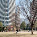 実際訪問したユーザーが直接撮影して投稿したみなとみらい公園高島中央公園の写真