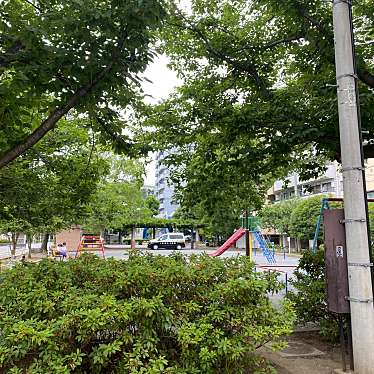 実際訪問したユーザーが直接撮影して投稿した浅間町公園霜下公園の写真