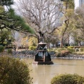 実際訪問したユーザーが直接撮影して投稿した日比谷公園地域名所日比谷公園 鶴の噴水の写真