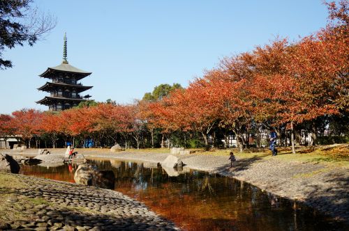 実際訪問したユーザーが直接撮影して投稿した公園野添北公園の写真