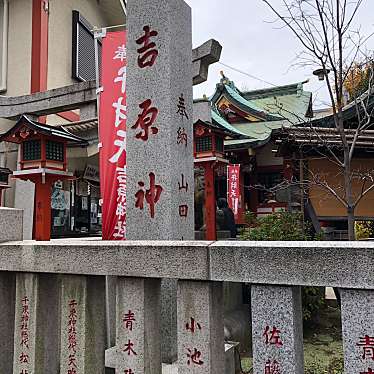 ははみんさんが投稿した千束神社のお店吉原神社/ヨシワラジンジャの写真