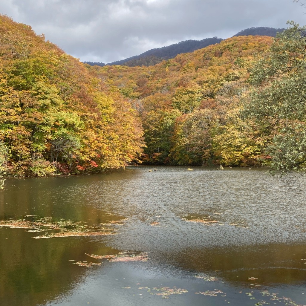 実際訪問したユーザーが直接撮影して投稿した桧原湖沼 / 池曲沢沼の写真