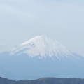 実際訪問したユーザーが直接撮影して投稿した仙石原滝 / 渓谷大涌谷の写真