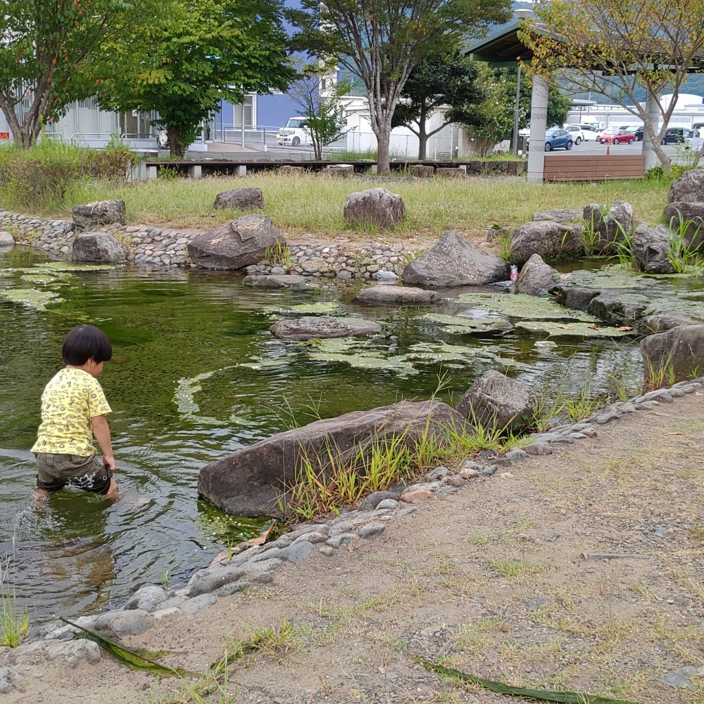 実際訪問したユーザーが直接撮影して投稿した鶴岡西町公園鶴望公園の写真