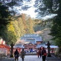 実際訪問したユーザーが直接撮影して投稿した隼人町西光寺神社霧島神社の写真