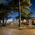 実際訪問したユーザーが直接撮影して投稿した桜ケ岡公園神社櫻岡大神宮の写真